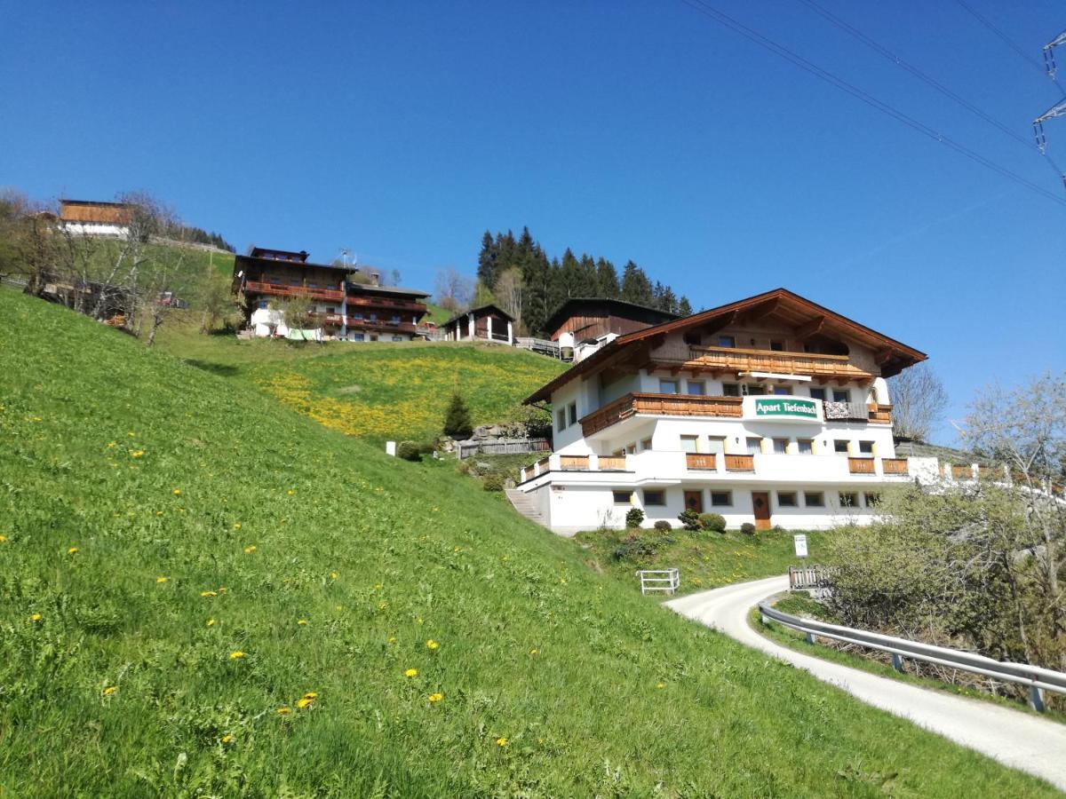 Apart Tiefenbach Aschau Im Zillertal Экстерьер фото